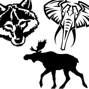 Tiere