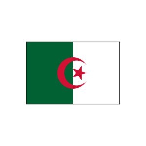 Flagge Algerien (Stk.)
