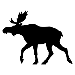 Elch Aufkleber Norwegen (Stk.)
